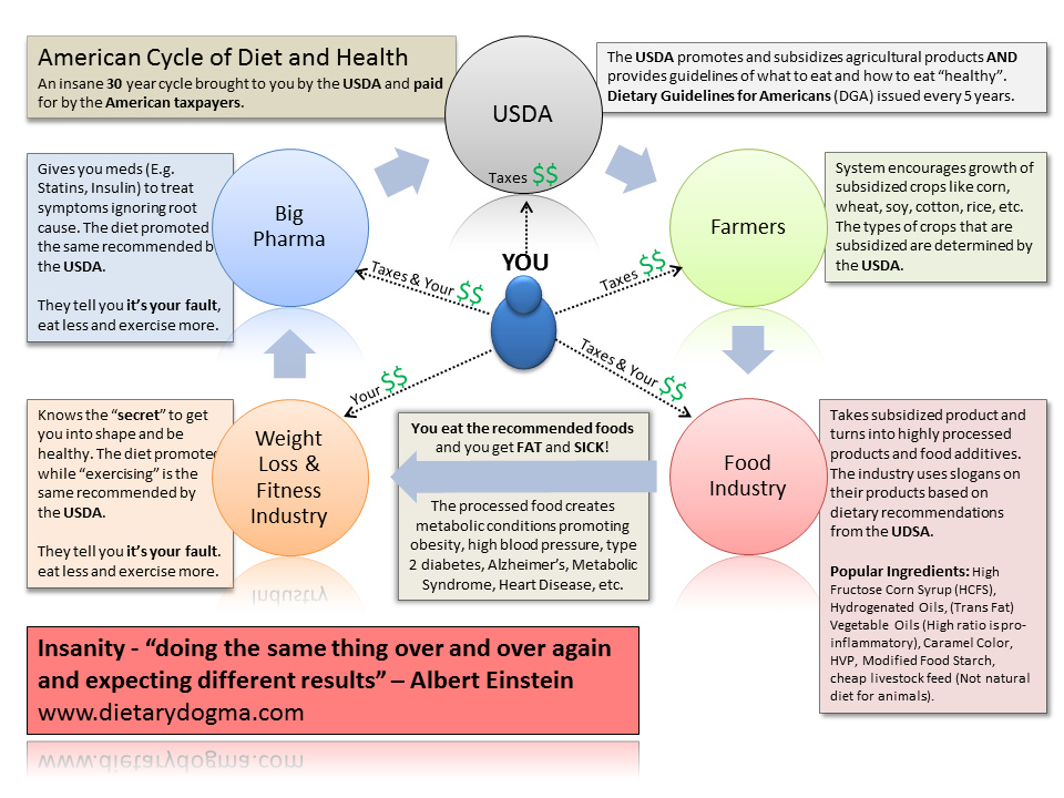 Clinical reasoning cycle case study diabetes Clinical reasoning cycle case study diabetes image